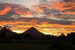 Fortuna Arenal: Tropischer Regenwald Arenal Hängebrücken