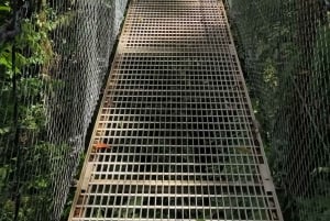 Fortuna Arenal: Tropischer Regenwald Arenal Hängebrücken