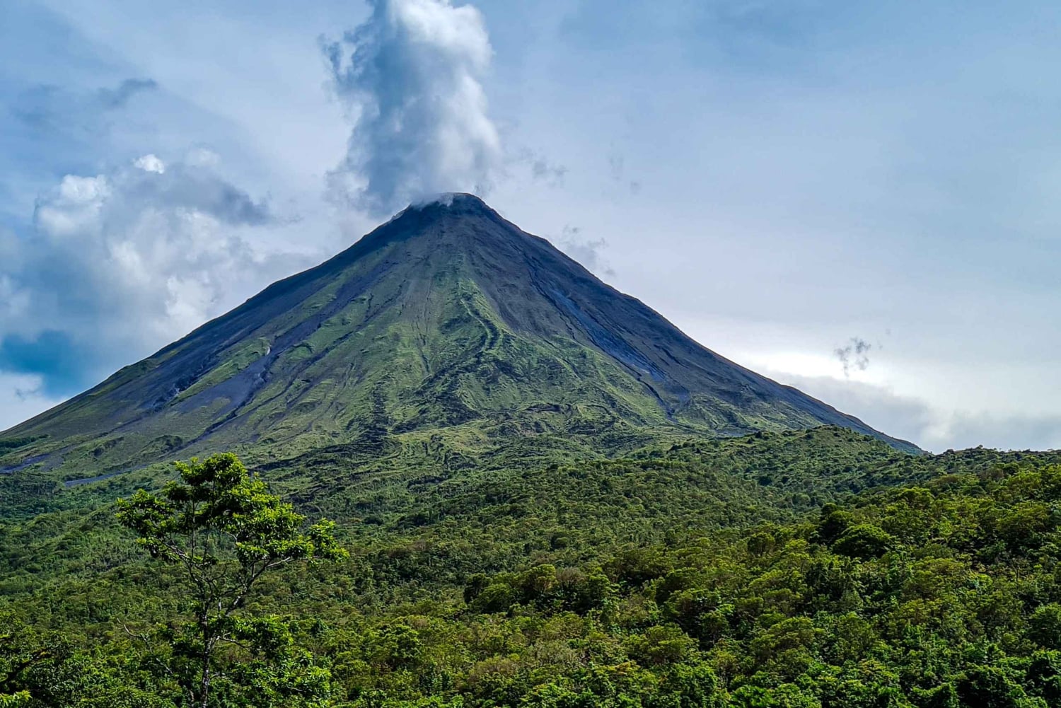 Fortuna Combo: Hengende broer + Arenal-vulkanen og fossefall