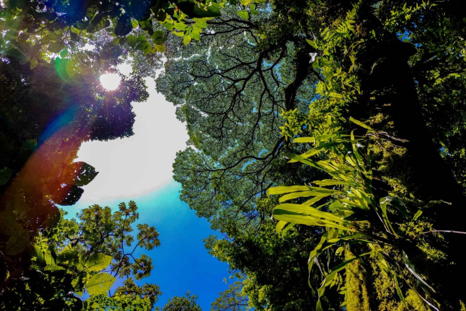 Fortuna Combo: Hengende broer + Arenal-vulkanen og fossefall