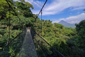 Fortuna Combo: Hanging Bridges + Arenal Volcano & Waterfall