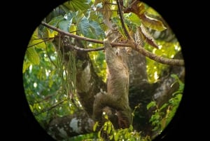 Fortuna Combo: Hanging Bridges + Arenal Volcano & Waterfall