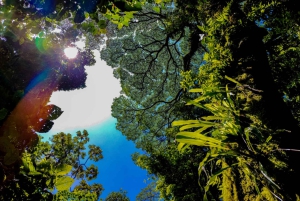 Fortuna Combo: Hengende broer + Arenal-vulkanen og fossefall