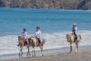 From Brasilito: 1-Hour Horseback Riding Beach Tour