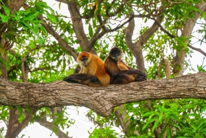 Vanuit Costa Rica: Nicaragua Hele Dag Ervaring