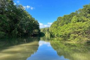 From Doka Tárcoles: Jungle River and Crocodiles Boat Trip