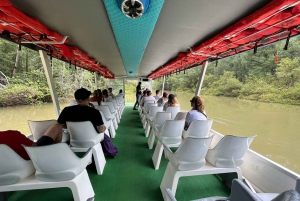 From Doka Tárcoles: Jungle River and Crocodiles Boat Trip