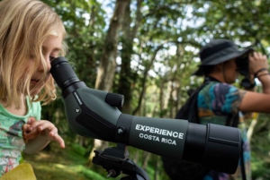 From Downtown to Treetops: SJO's Urban Nature & Canopy Combo
