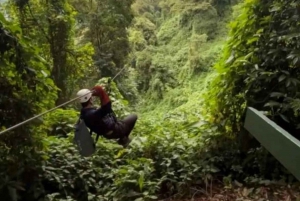 From Downtown to Treetops: SJO's Urban Nature & Canopy Combo