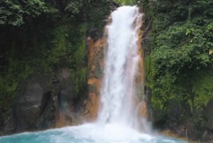 From Guanacaste: Rio Celeste, Sloth Sanctuary & Waterfall