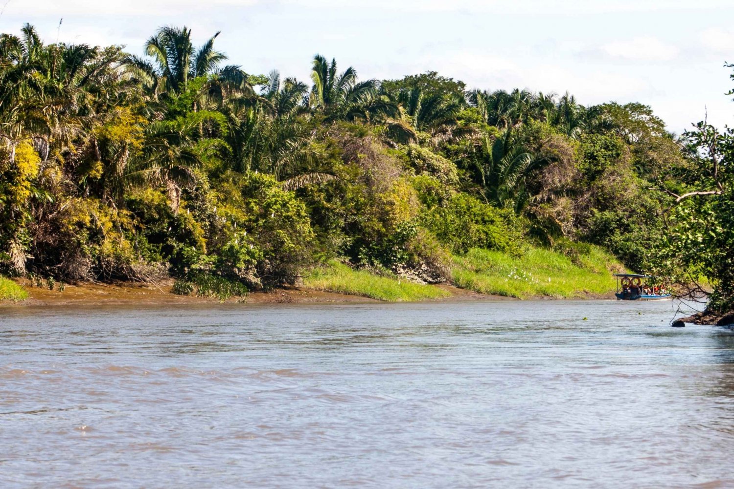 Depuis Guanacaste : Croisière sur la rivière Tempisque avec plateau de fruits
