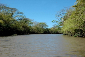 Z Guanacaste: Rejs po rzece Tempisque z talerzem owoców