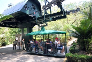 From Jaco: Aerial Tram Tour including Transportation
