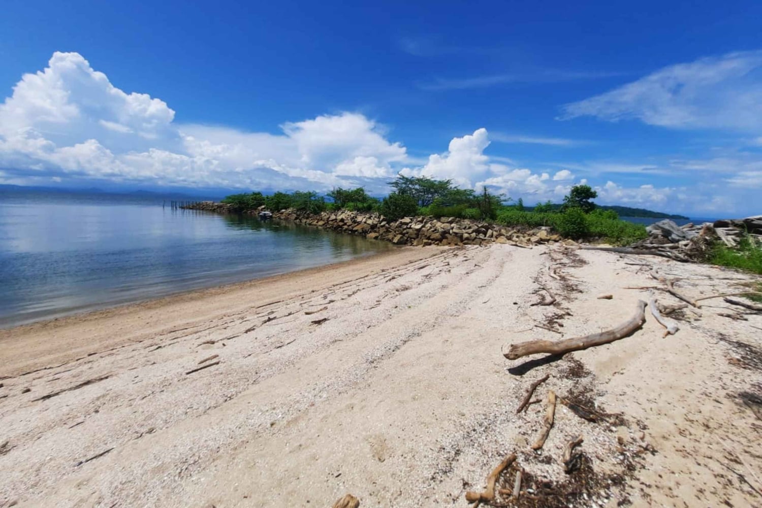 Desde Jaco: tour en barco de bioluminiscencia con barbacoa y bebidas