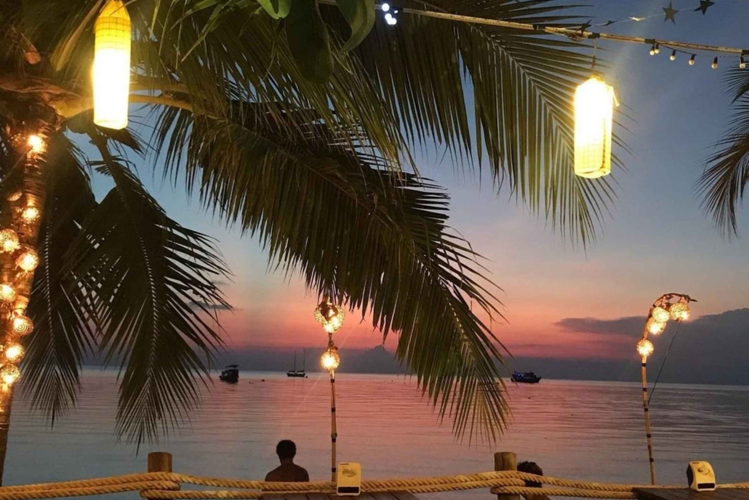 Desde Jaco: tour en barco de bioluminiscencia con barbacoa y bebidas