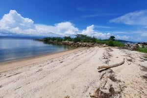 Desde Jaco: tour en barco de bioluminiscencia con barbacoa y bebidas