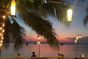 Desde Jaco: tour en barco de bioluminiscencia con barbacoa y bebidas