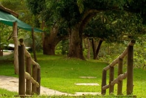 Desde Jaco: Excursión Canopy en Hacienda Nosavar