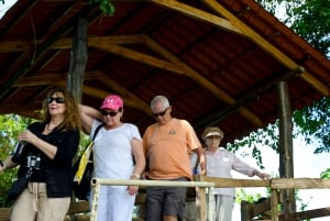 Från Jaco: Canopy Tour i Hacienda Nosavar