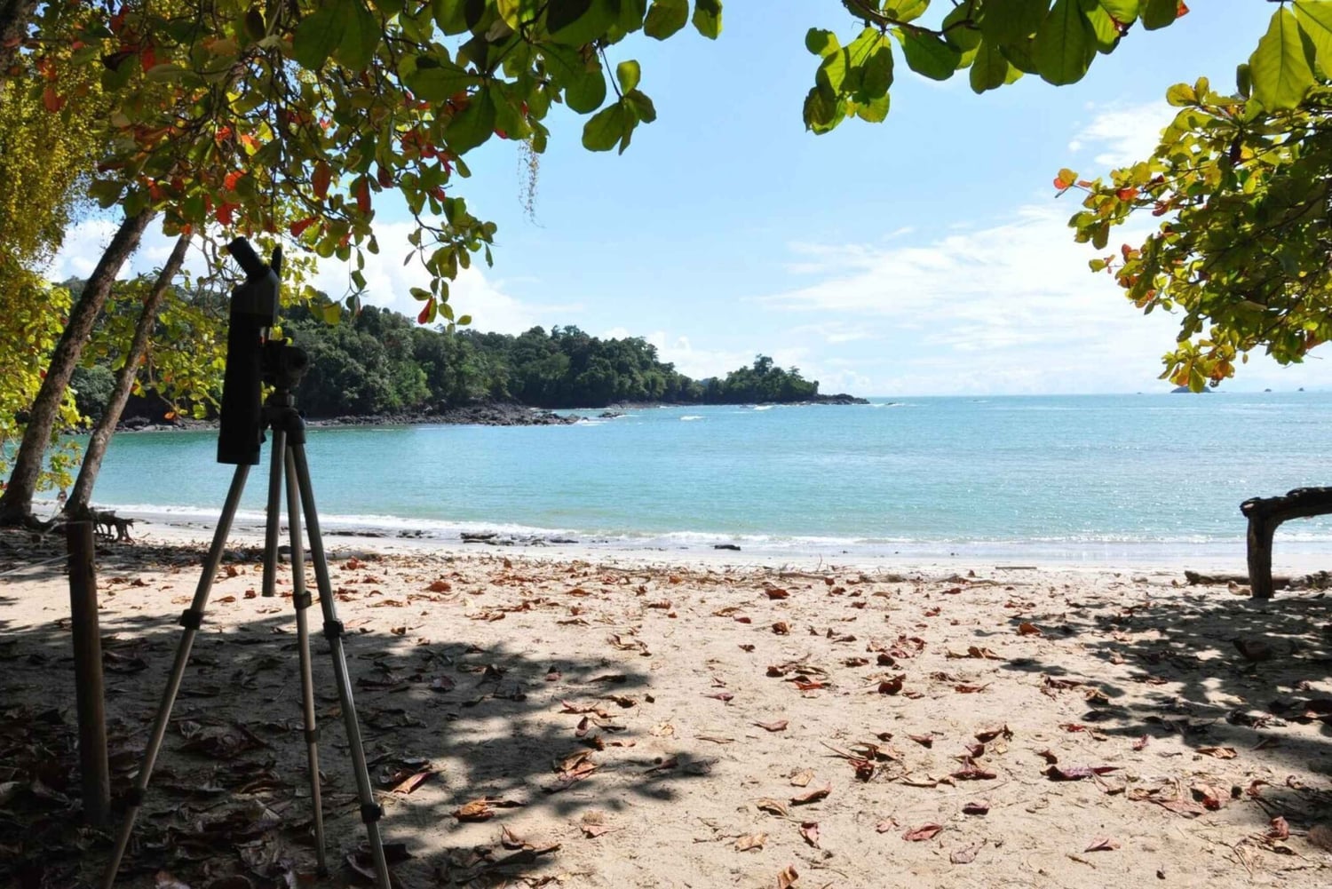 Depuis Jaco : Visite d'une jounée du parc national Manuel Antonio