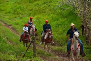 Desde Jaco: Paseos a caballo en la Hacienda Nosavar