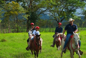 From Jaco: Horseback Riding in Hacienda Nosavar