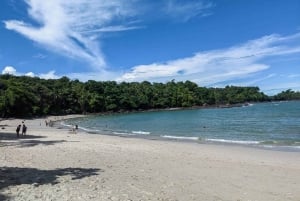 From Jaco to Manuel Antonio National Park: Guided tour to see animals