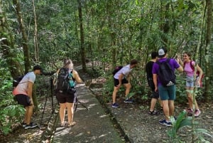 From Jaco to Manuel Antonio National Park: Guided tour to see animals