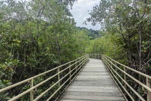 From Jaco to Manuel Antonio National Park: Guided tour to see animals