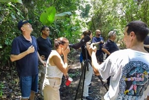 From Jaco to Manuel Antonio National Park: Guided tour to see animals