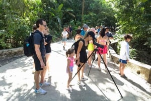 From Jaco to Manuel Antonio National Park: Guided tour to see animals