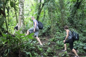 Fra La Fortuna: Arenal Volcano & Hotsprings Afternoon Tour