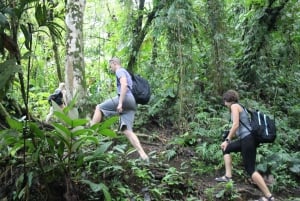 La Fortuna : volcan Arenal et sources chaudes l'après-midi