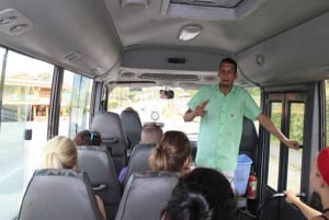 Da La Fortuna: tour pomeridiano del vulcano Arenal e delle sorgenti termali