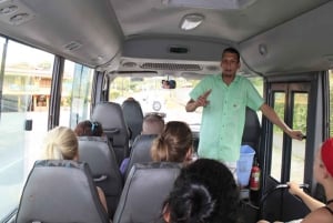 La Fortunasta: Arenal Volcano & Hotsprings iltapäiväretki