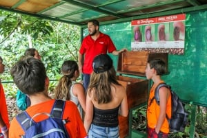 Depuis La Fortuna : Visite d'une ferme de café et de chocolat avec dégustation