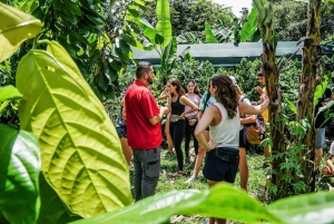 Van La Fortuna: rondleiding koffie- en chocoladeboerderij met proeverij
