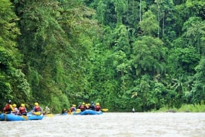 Desde La Fortuna: Rafting Familiar en el Río Balsa