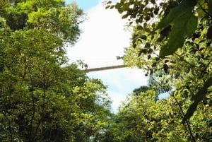 Från La Fortuna: Guidad vandring på hängande broar