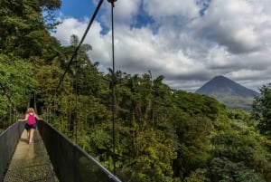 Fra La Fortuna: Hengebroer og Arenal-vulkanen med lunsj