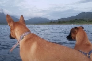 De La Fortuna: passeio de caiaque no lago Arenal com traslado