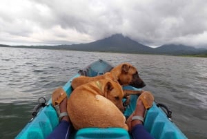 De La Fortuna: passeio de caiaque no lago Arenal com traslado