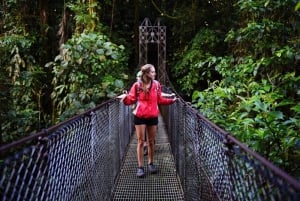 Da La Fortuna: tour del parco dei ponti sospesi di Mistico Arenal