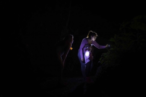 Z La Fortuna: Nocne doświadczenie natury