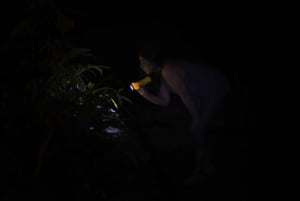 Van La Fortuna: nachtelijke natuurervaring
