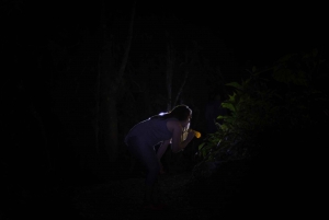 From La Fortuna: Nocturnal Nature Experience