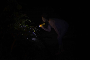 From La Fortuna: Nocturnal Nature Experience
