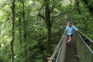 From La Fortuna: One way shared transfer to Monteverde