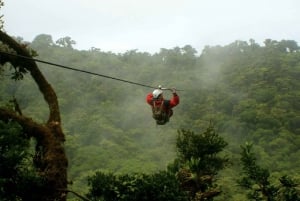 From La Fortuna: One way shared transfer to Monteverde