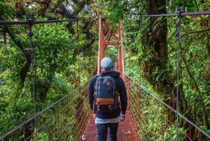 De La Fortuna: Traslado compartilhado de ida para Monteverde